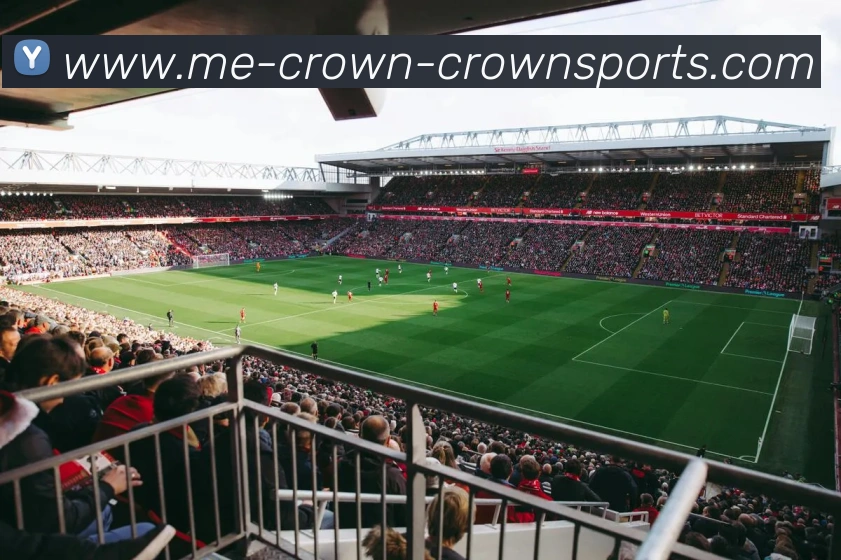 皇冠app服务体系